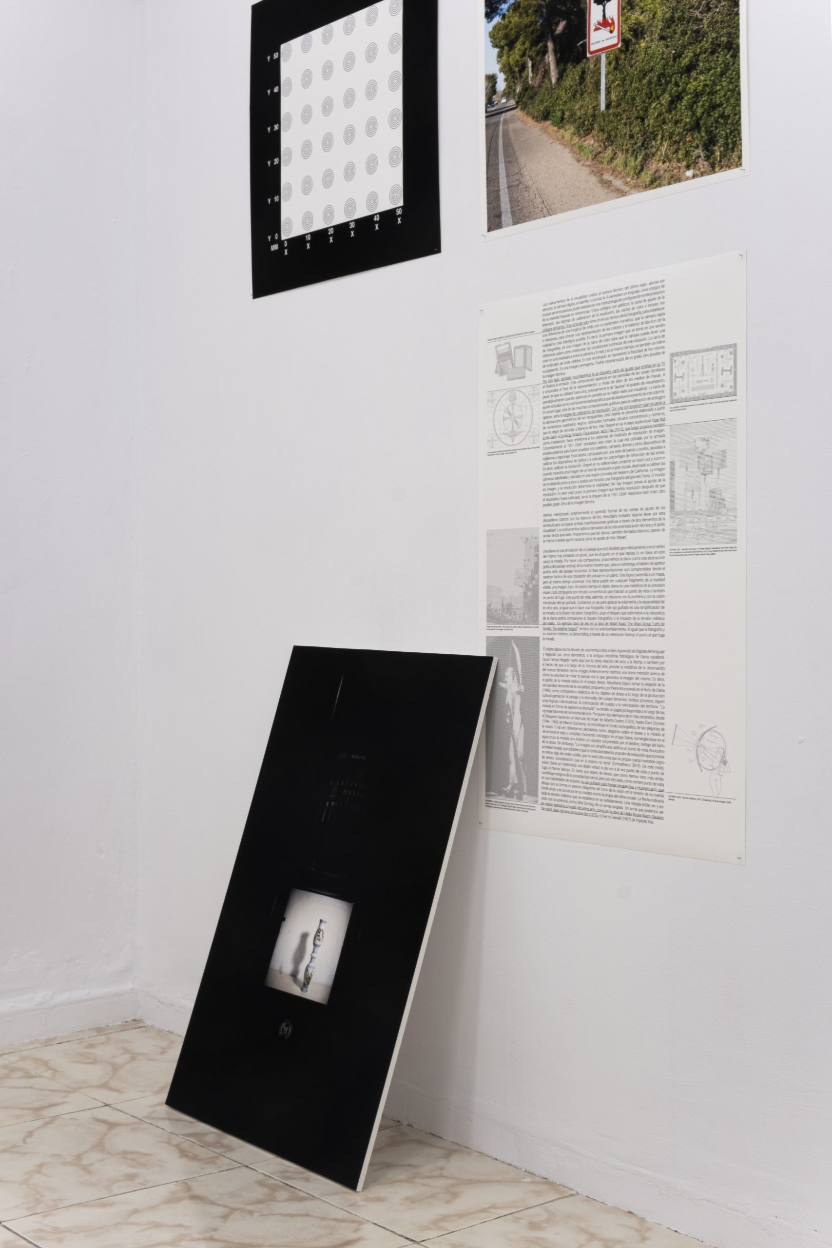 El blanco óptico - sofía alemán